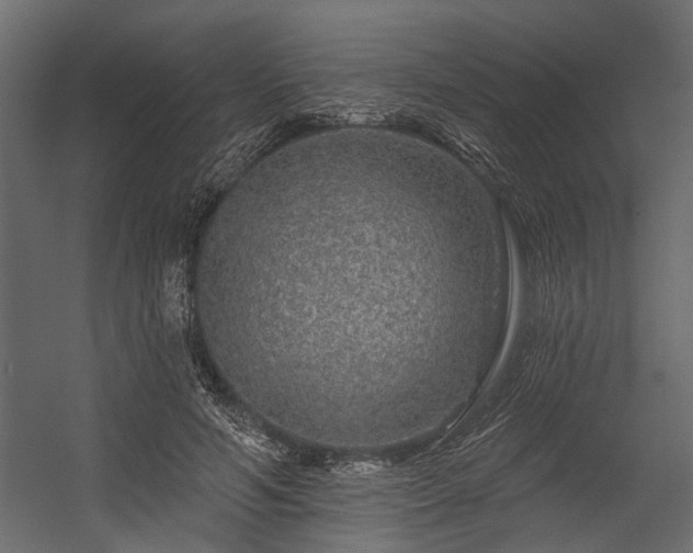 X0000054460594200508011504