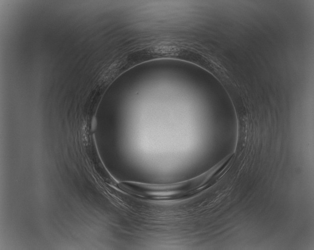 X0000054460597200508011503