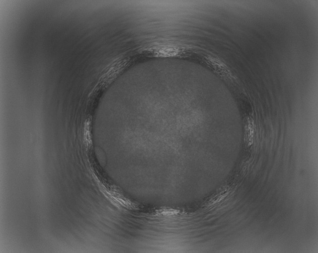 X0000054460598200508011503