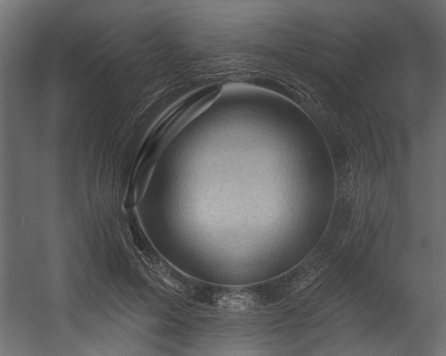 X0000054460599200508011503