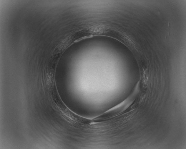 X0000054460601200508011503