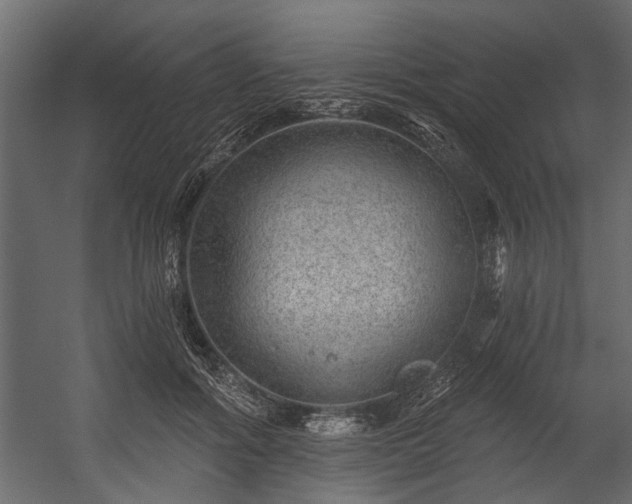 X0000054460602200508011503