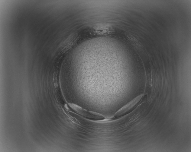 X0000054460606200508011503