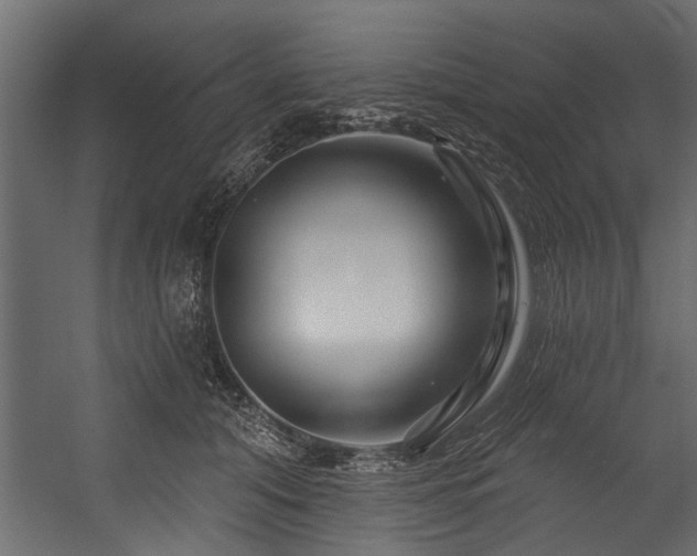 X0000054460608200508011503