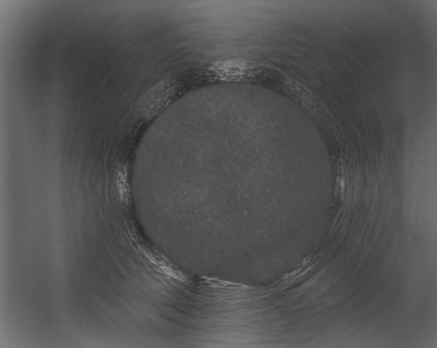 X0000054460610200508011503