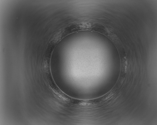 X0000054460614200508011503