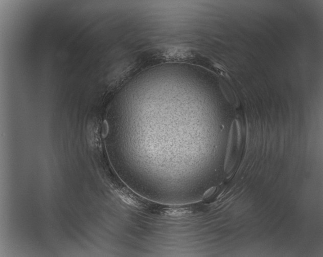 X0000054460619200508011503