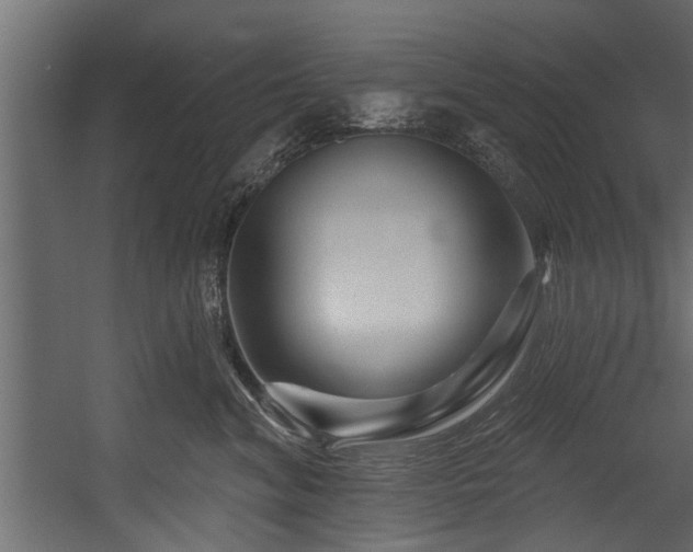 X0000054460620200508011503