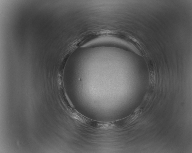 X0000054460621200508011503