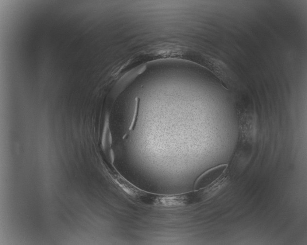 X0000054460622200508011503