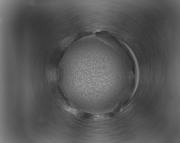 X0000054460623200508011503