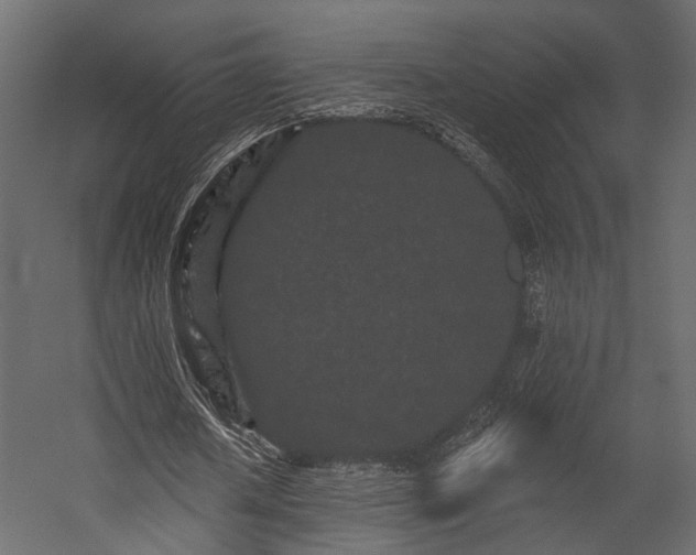 X0000054460626200508011502