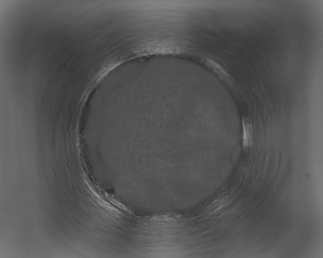 X0000054460627200508011502