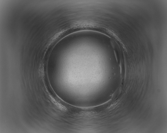 X0000054460629200508011502