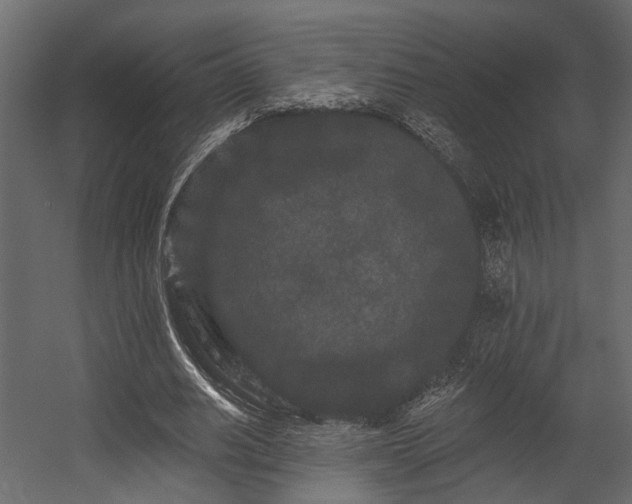 X0000054460630200508011502