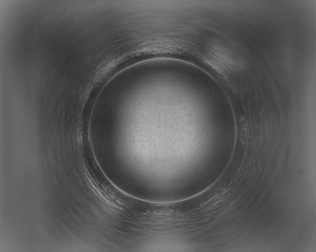 X0000054460631200508011502