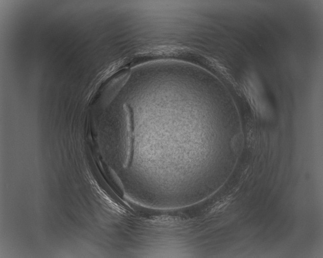 X0000054460633200508011502