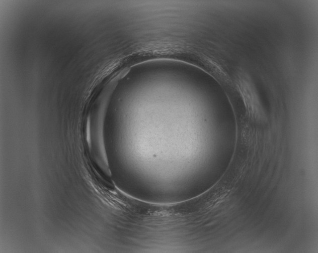 X0000054460635200508011502