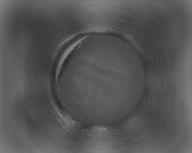 X0000054460640200508011502