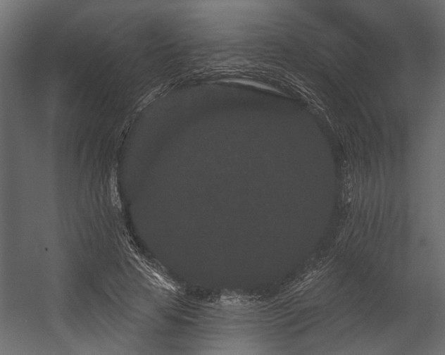 X0000054460641200508011502