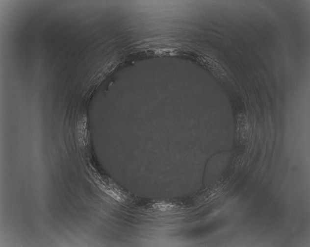 X0000054460650200508011503