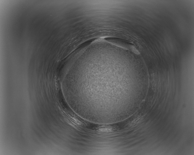 X0000054460653200508011503