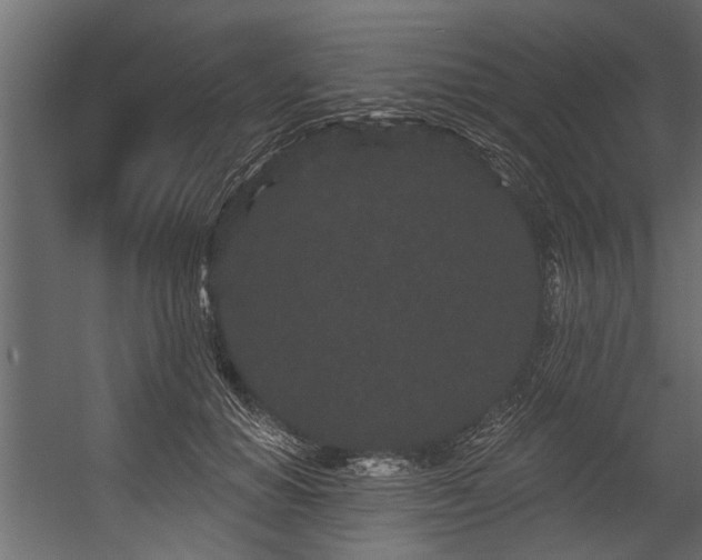 X0000054460654200508011503