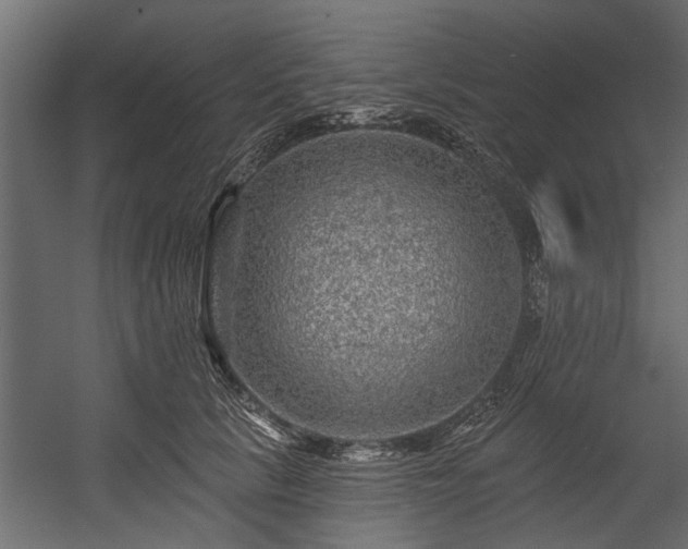 X0000054460657200508011503