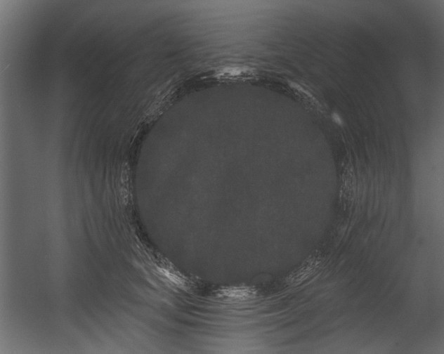 X0000054460659200508011503