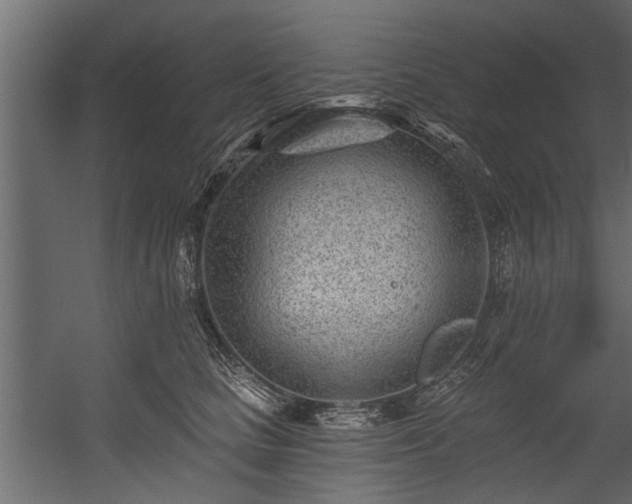 X0000054460661200508011503