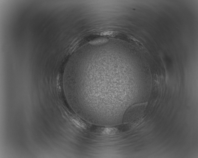 X0000054460663200508011503