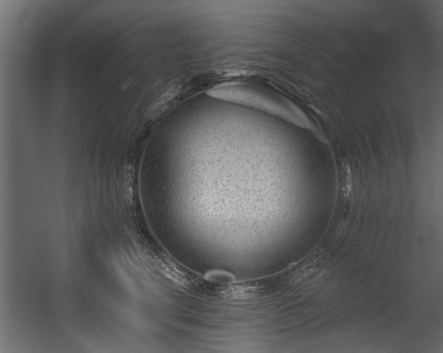 X0000054460664200508011503