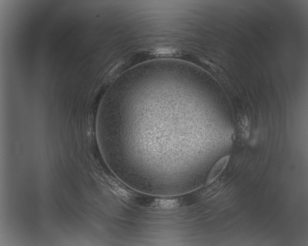 X0000054460665200508011503