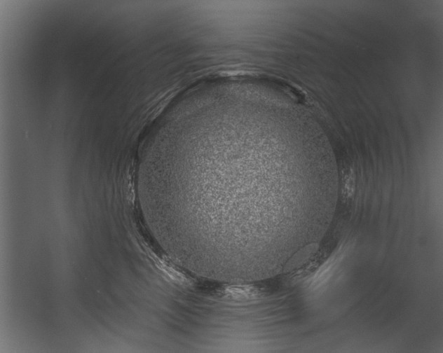 X0000054460666200508011503