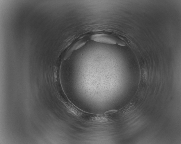 X0000054460668200508011503