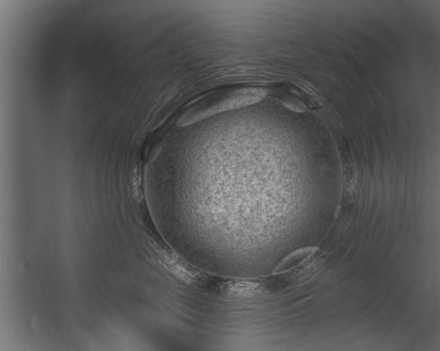 X0000054460669200508011503