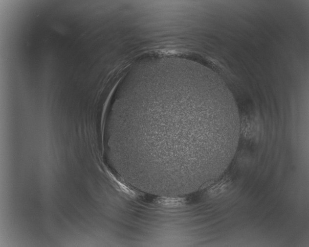 X0000054460670200508011503