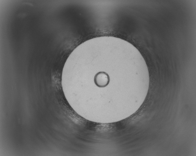 X0000054460672200508011503