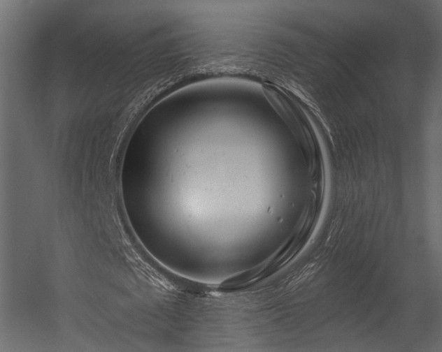 X0000054460673200508011502