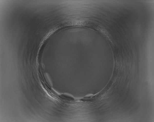 X0000054460674200508011502