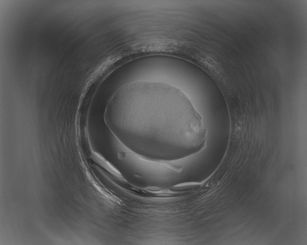 X0000054460678200508011502