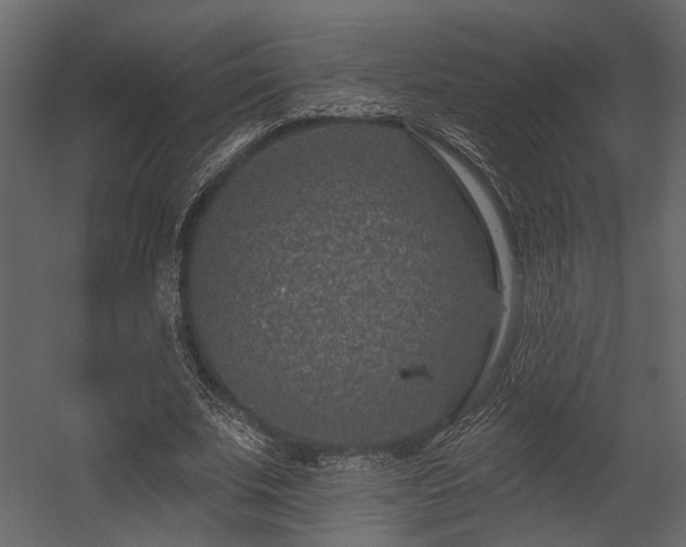 X0000054460679200508011502