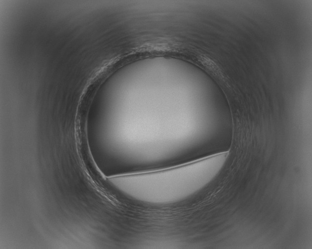 X0000054460680200508011502