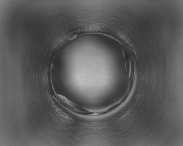 X0000054460681200508011502