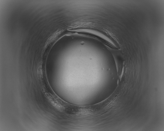 X0000054460682200508011502