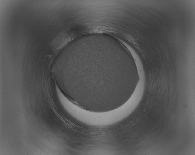 X0000054460683200508011502