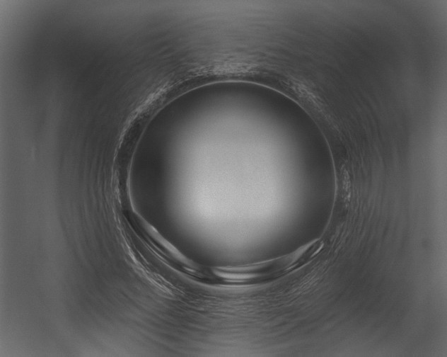 X0000054460684200508011502