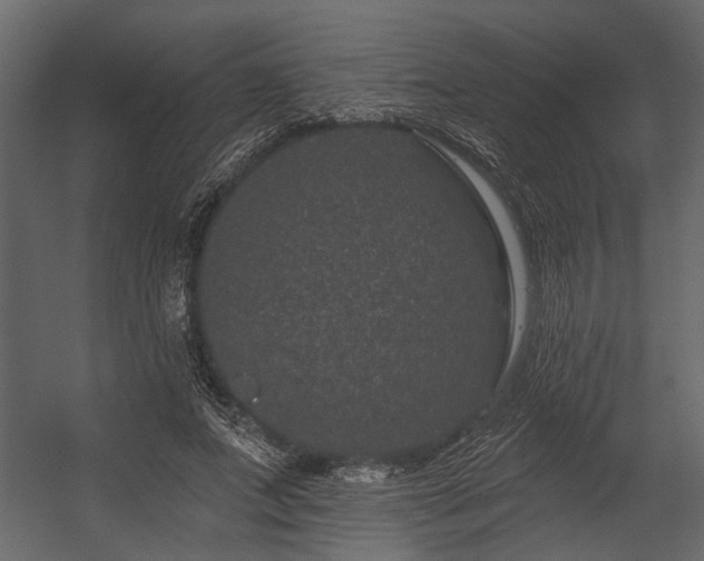 X0000054460687200508011502