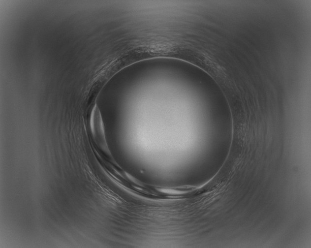 X0000054460689200508011502