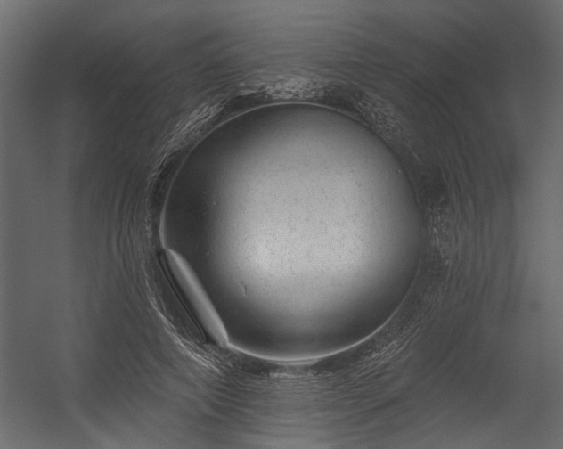 X0000054460690200508011502